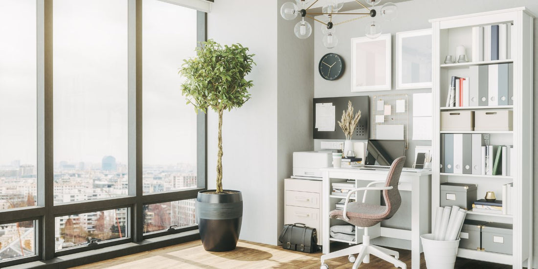 Domowe biuro w erze home office – jak zminimalizować promieniowanie?